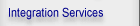 Integration Services