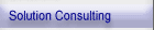 Solution Consulting