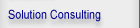 Solution Consulting