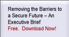 Removing the Barriers to a Secure Future  An Executive Brief  Free.  Download Now!